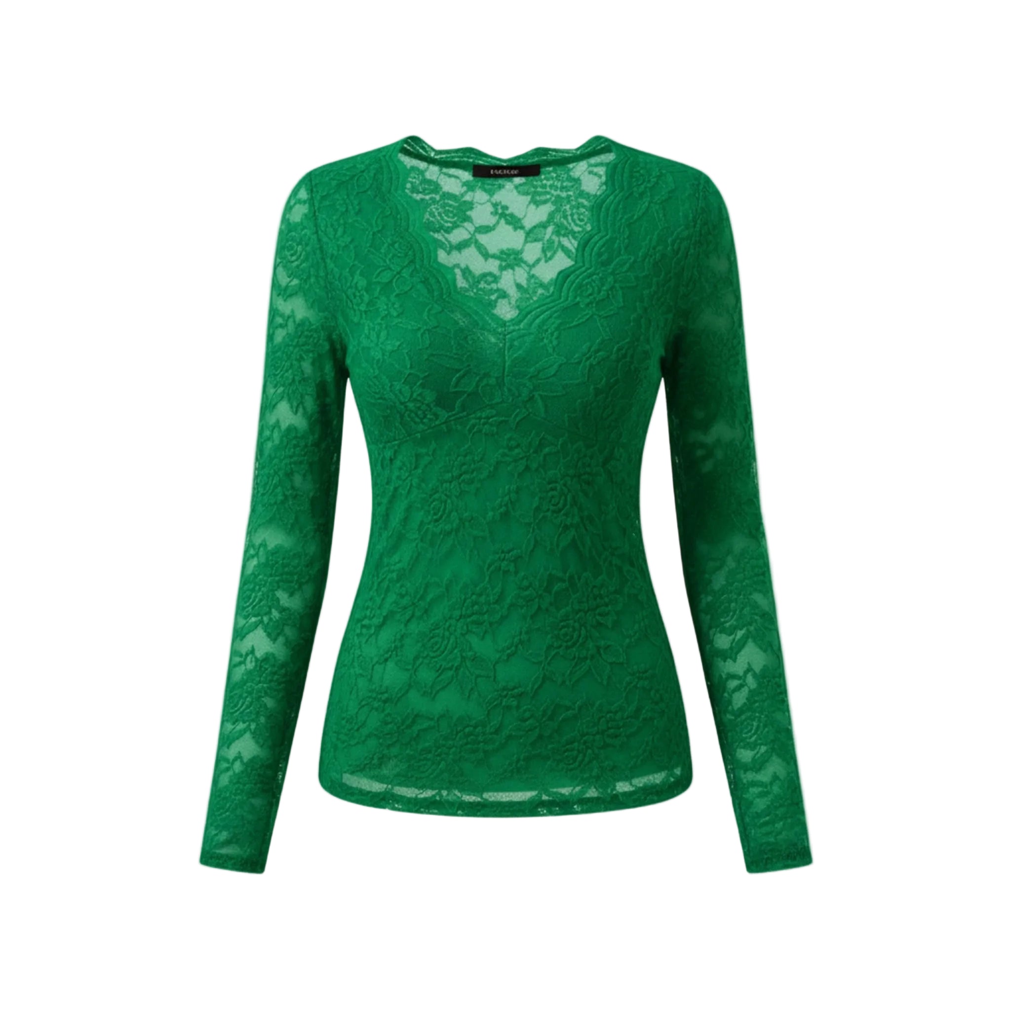Women’s Long Sleeve V-Neck Lace Top